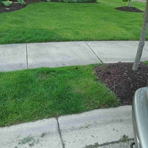 landscaping services by L&J Investment Properties reviewed on August 21, 2025