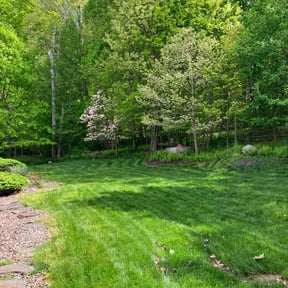 landscaping services by Armed and Ready Services reviewed on August 20, 2025