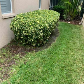 Bush Trimming by Anthony&#039;s Lawn Care LLC reviewed on August 20, 2025