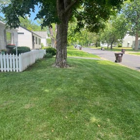 yard work by Jeremy's Lawn Service reviewed on August 20, 2025