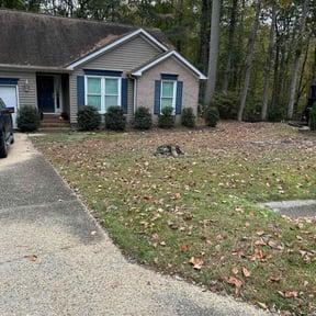 Bush Trimming by Los Hernandez landscape reviewed on October 24, 2025