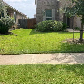 residential landscaping by Pauls exterior services reviewed on November 24, 2025