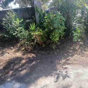 Leaf Removal by T&amp;K Lawn Care reviewed on November 7, 2025