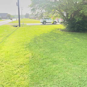lawn care by Royal Scenery LLC reviewed on July 10, 2021