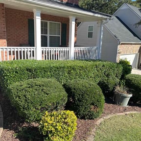 turf maintenance by Austin Agave Landscaping reviewed on November 9, 2017