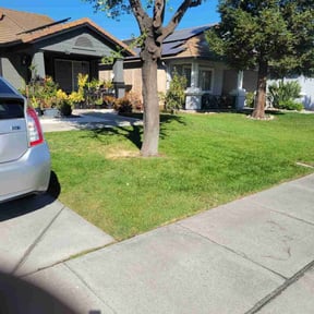 landscaping by Catlin&#039;s Lawn Care reviewed on November 24, 2025