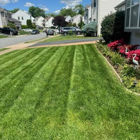 landscaping by TH lawncare reviewed on August 17, 2025
