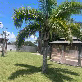 yard service by D3 lawncare reviewed on August 17, 2025