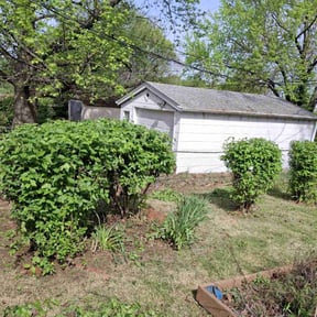 Bush Trimming by Ethan lawn care reviewed on August 16, 2025