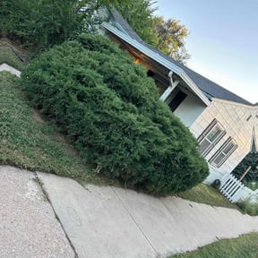 Bush Trimming by Arroyo Lawn Service reviewed on August 21, 2025