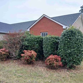 Bush Trimming by Justin Mundell reviewed on March 5, 2026