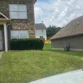 Bush Trimming by C &amp; A Elite Landscaping reviewed on July 12, 2026