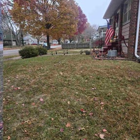 Leaf Removal by CW Unlimited Enterprise LLC reviewed on November 23, 2025