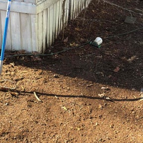 Leaf Removal by Positive Landscaping reviewed on March 9, 2026