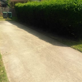 Bush Trimming by Boyd's lawn care reviewed on August 16, 2025