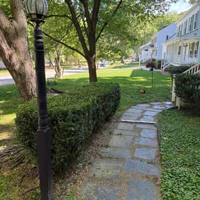 Bush Trimming by Sure Green Grass Care reviewed on April 21, 2026