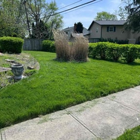 yard service by All Star Maintenance reviewed on August 18, 2025