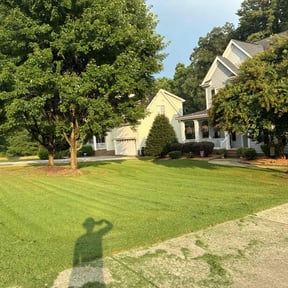 landscaping services by A Closer Look Residential Inspections LLC reviewed on August 19, 2025
