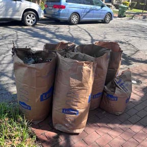 Leaf Removal by Cleancut Landscaping reviewed on May 28, 2026