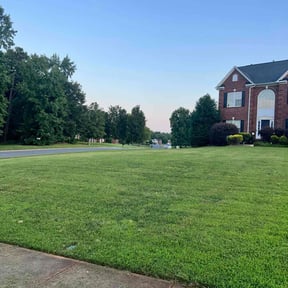 yard service by JRC Lawn care & Maintenance reviewed on August 19, 2025