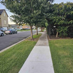 yard care by Helping Hand Landscapes reviewed on August 15, 2025