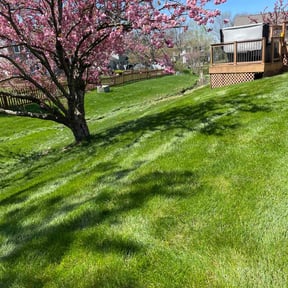 landscaping by Dura Yard Service reviewed on August 16, 2025