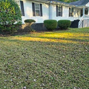 Bush Trimming by Brown Boy Services reviewed on September 14, 2023