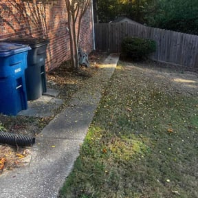 Leaf Removal by Grass Care By the Beach reviewed on November 21, 2025
