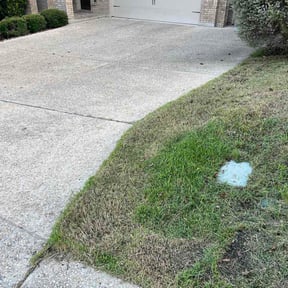 Leaf Removal by Keep It Green reviewed on July 26, 2026