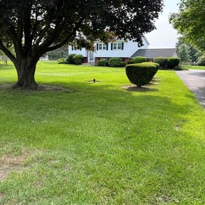 landscape maintenance by Clean The Green Lawncare reviewed on August 13, 2024