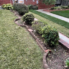 Bush Trimming by Northwest Lawn Care & Snow Removal reviewed on August 18, 2025