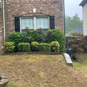 Bush Trimming by Mola Property and Lawn Service reviewed on August 18, 2025