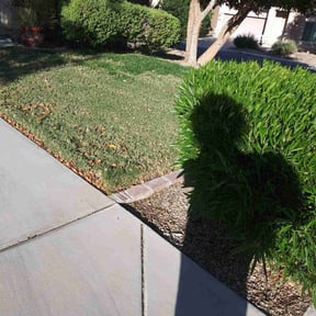 Bush Trimming by J Deese lawn services reviewed on August 13, 2025