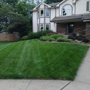 turf maintenance by Little mans lawn care reviewed on August 19, 2025