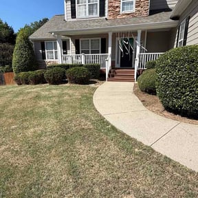 Bush Trimming by PRO CLIPPING LAWN CARE reviewed on April 14, 2026