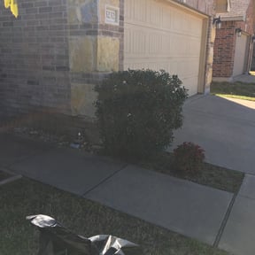 Bush Trimming by Lawn Busters LLC reviewed on August 16, 2025