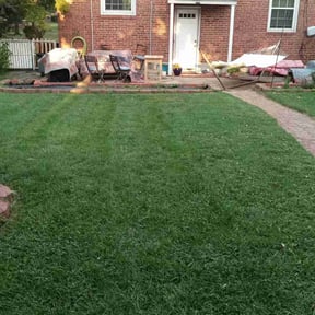 turf maintenance by Ian Monk reviewed on March 6, 2024