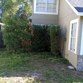Bush Trimming by Mobile Lawns reviewed on August 19, 2025