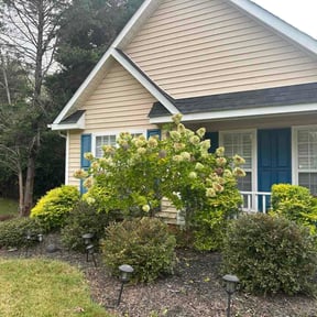 Bush Trimming by Delgado landscaping reviewed on August 26, 2026