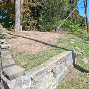 Leaf Removal by Natural vibe  maintenance service reviewed on November 8, 2025