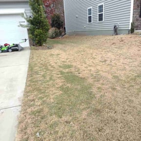 Leaf Removal by Legacy environmental services reviewed on September 15, 2025