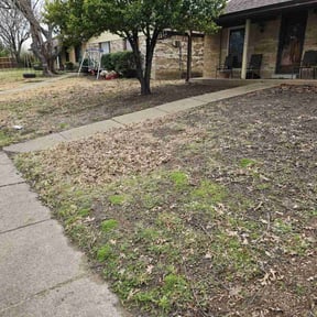 Leaf Removal by CCs lawncare reviewed on October 3, 2025