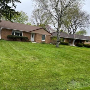 turf maintenance by Family affair reviewed on October 29, 2023