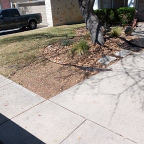 Leaf Removal by Family Landscaping reviewed on September 11, 2025
