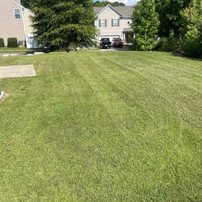 yard service by Take a load off reviewed on August 18, 2025