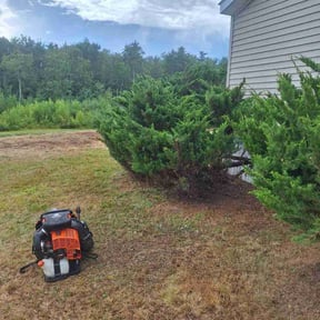 Bush Trimming by Joe&#039;s Lawn Care reviewed on July 15, 2022