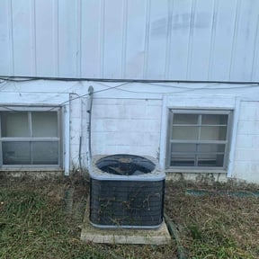 Bush Trimming by Robert Contreras lawn service llc reviewed on November 24, 2025