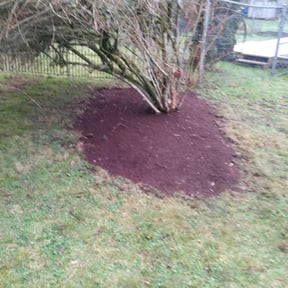 Flower Bed Weeding by Woods Property PreservationLLC reviewed on August 19, 2025