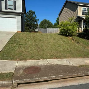 lawn care by Tommy's Lawn Services reviewed on August 20, 2025