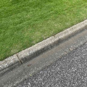 Flower Bed Weeding by Breezy Landscaping LLC reviewed on May 30, 2026